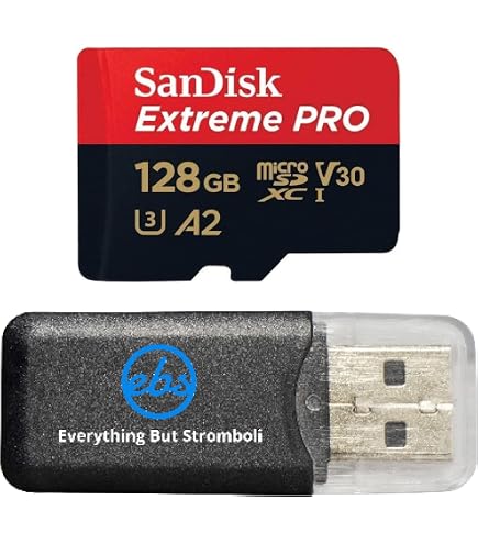 GoPro7BLACK   3WAY 64GBmicroSDカード Amazon.com: SanDisk 256GB Extreme Pro Memory Card Works with GoPro