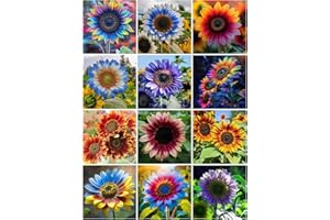 Multi-Colored Sunflower Seeds for Planting,100+ Rare Sunflower Seeds to Plant Non-GMO Heirloom Seed for Vibrant Sun Flower Se