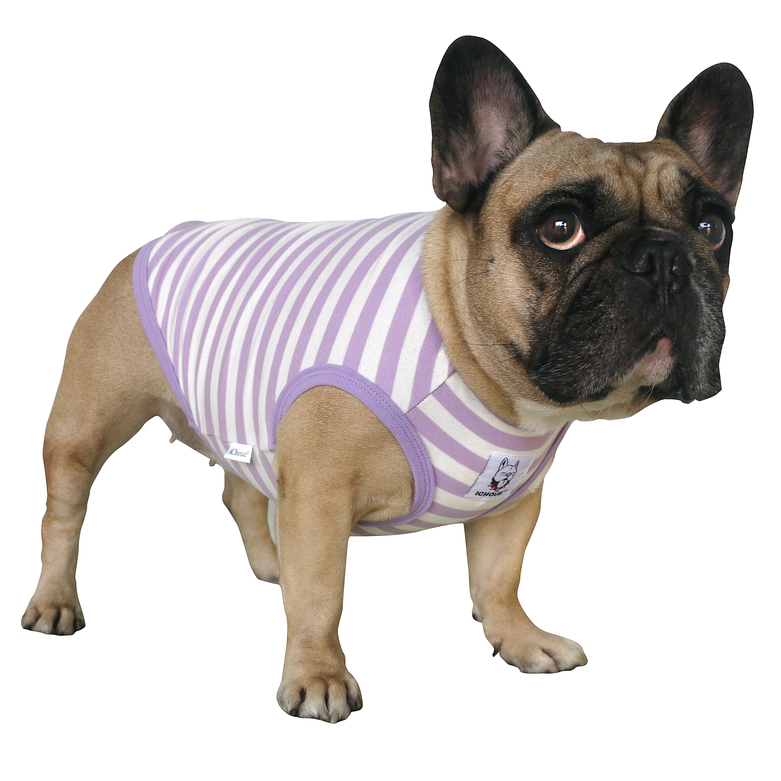 iChoue English Bulldog Striped T Shirts Clothes for Medium Dogs Vest Tank Tops Puppy Large French Frenchie Pug Boston Terrier Pitbull Purple White Stripes - XXLarge