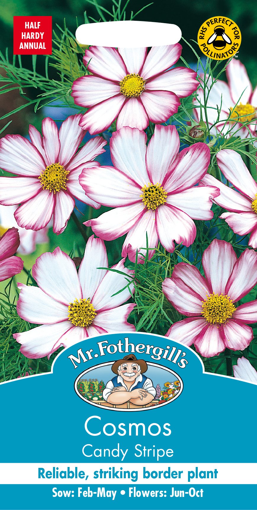 Mr Fothergill’s Cosmos Flower Seeds, Candy Stripe