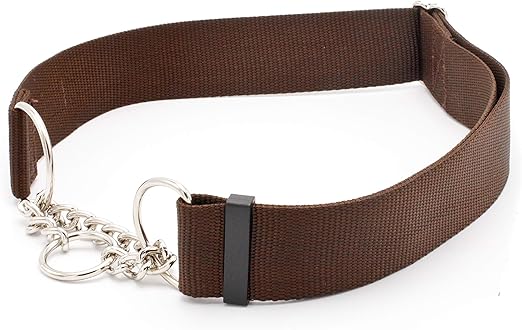 best electric collar