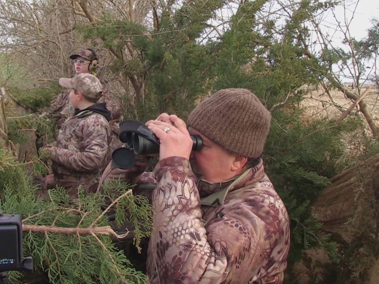 Watch Prime Revolution - Season 1 | Prime Video