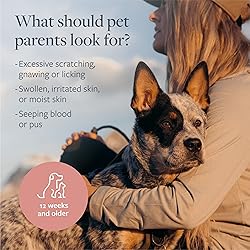 Veterinary Formula Clinical Care Hot Spot & Itch