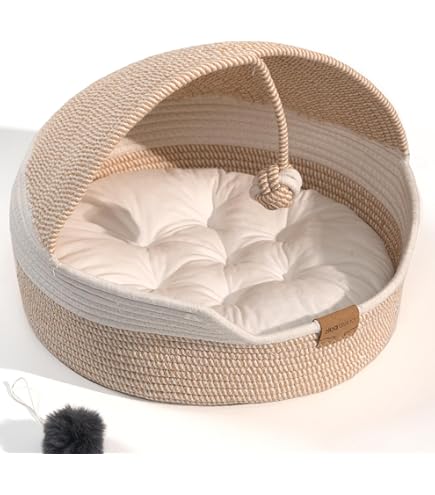Amazon.com : Keter by Curver Knit Cozy Resin Plastic Pet Bed, Cat