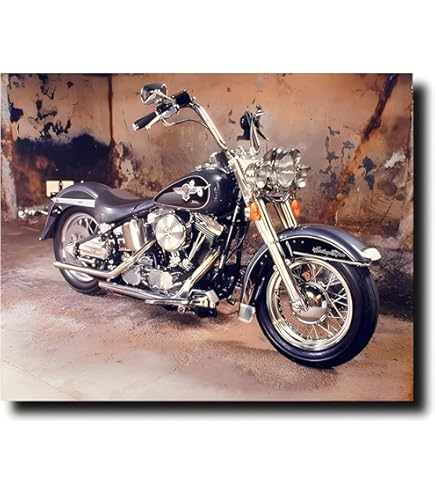 Amazon.com: Crossing the Ohio River Photography Art Poster Print