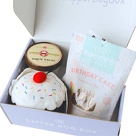 dog birthday gift box