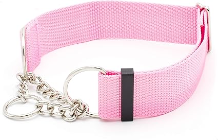 1.5 martingale dog collar