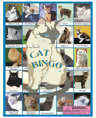 Cat Bingo Game