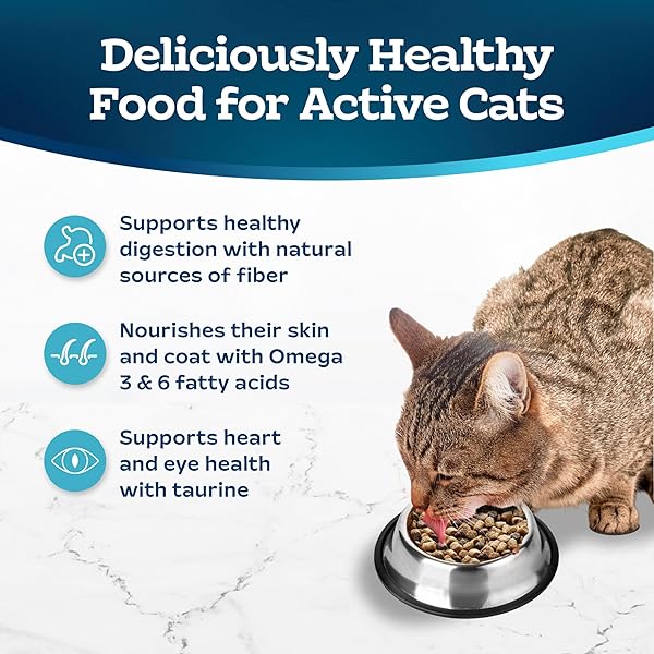 BLUE BUFFALO TASTEFULS ACTIVE CAT DRY CAT FOOD, MADE IN THE USA WITH NATURAL INGREDIENTS, CHICKEN & BROWN RICE RECIPE, 3-LB. BAG