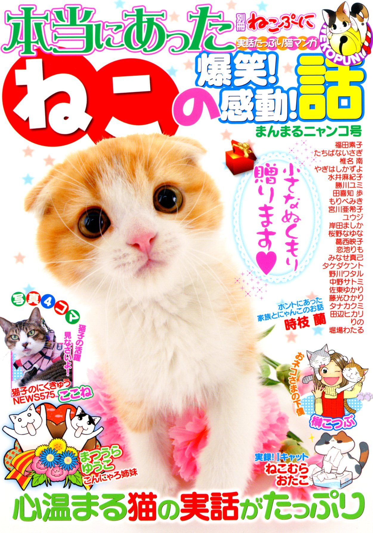 別冊ねこぷに 本当にあったねこの爆笑 感動 話 まんまるニャンコ号 Mdコミックス Amazon Com Books