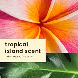 Hawaiian Tropic Island Sport Sunscreen Spray SPF 50 Broad Spectrum UVA UVB view 8