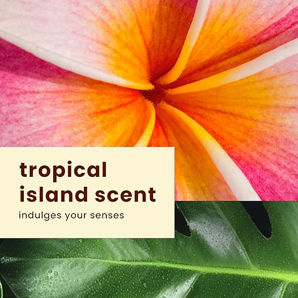 HAWAIIAN TROPIC SUNSCREEN ISLAND SPORT BROAD SPECTRUM SUN CARE SUNSCREEN SPRAY – SPF 15, 6 OUNCE