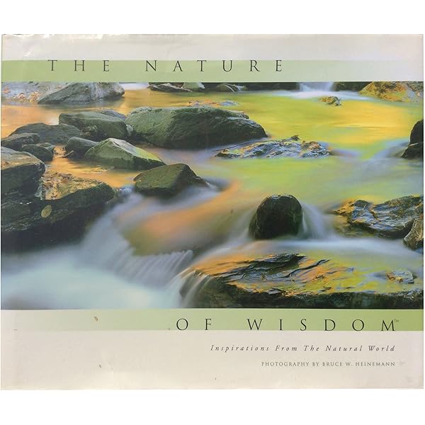 The Art of Nature: Reflections on the Grand Design: Bruce