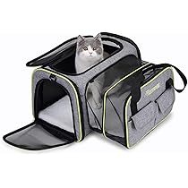 pet carrier target australia
