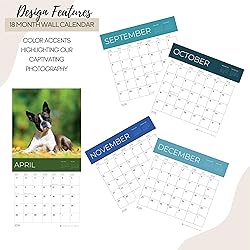 July 2025- December 2026 Wall Calendar 18 Month