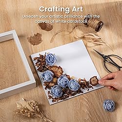 Califortree 2 Packs 8x10 Shadow Box Frame - Memory
