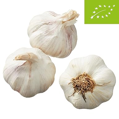 Bodenschatz Bio Knoblauch getrocknet, 150 g