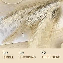 U-LIAN 36PCS Faux Pampas Grass 21.7 Inch, Small
