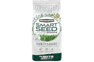 Pennington Smart Seed Sun and Shade Tall Fescue Grass Seed Mix for Southern Lawns 7 lb