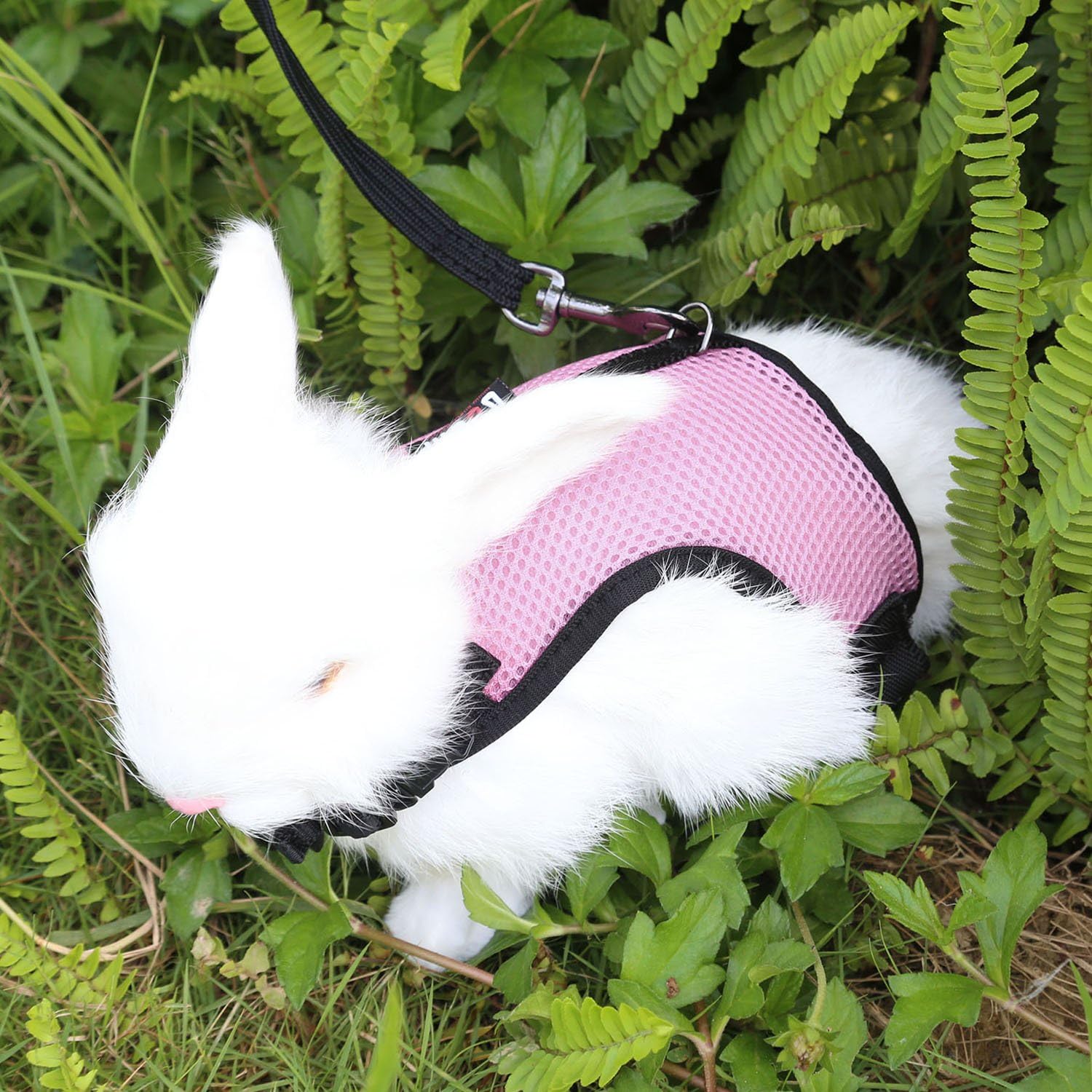niteangel adjustable soft harness with elastic leash for rabbits