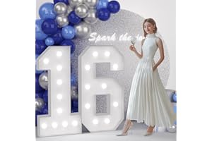 JoyMuse 4FT 16 Marquee Numbers, Large Light Up Numbers 16 for 16th Birthday Decorations