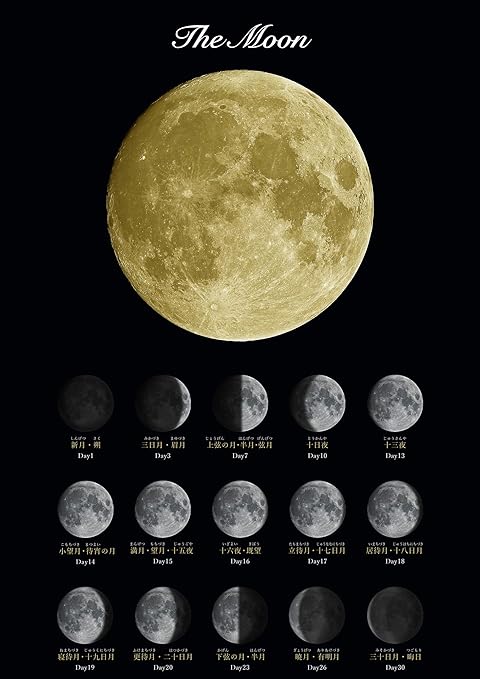Amazon The Moon Poster 月ポスター 大人のお風呂ポスター 防水 Amazon The Moon Poster 月ポスター 大人のお風呂ポスター 防水