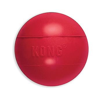 Kong Medium/Large Ball