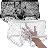 JINSHI Men's Mesh See Through Boxers Briefs,Sexy sheer lace underwear,Bulge Pouch boxer trunk,Ultra-thin