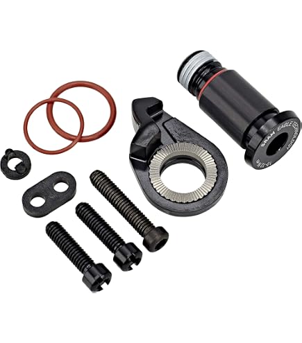 Amazon.com : SRAM SX Eagle Bolt and Screw Kit, Kit, 11.7518