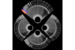 TUCNOEU 200pcs Clear Pointed Shaped Nail Polish Swatch Stick Nail Swatch Sticks With Ring,False Nails Sample Sticks for Home or Salon Use