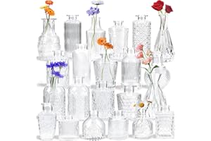 Yirilan Bud Vases Set of 22, Bud Vases in Bulk, Small Flower vases, Glass Vases for Centerpieces Cheap Bulk, Vintage Mini Vases for Wedding Decor, Home Table Decorations