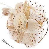 DRESHOW Fascinators Hat Flower Mesh Ribbons Feathers on a Headband and a Clip Tea Party Headwear for Girls and Women