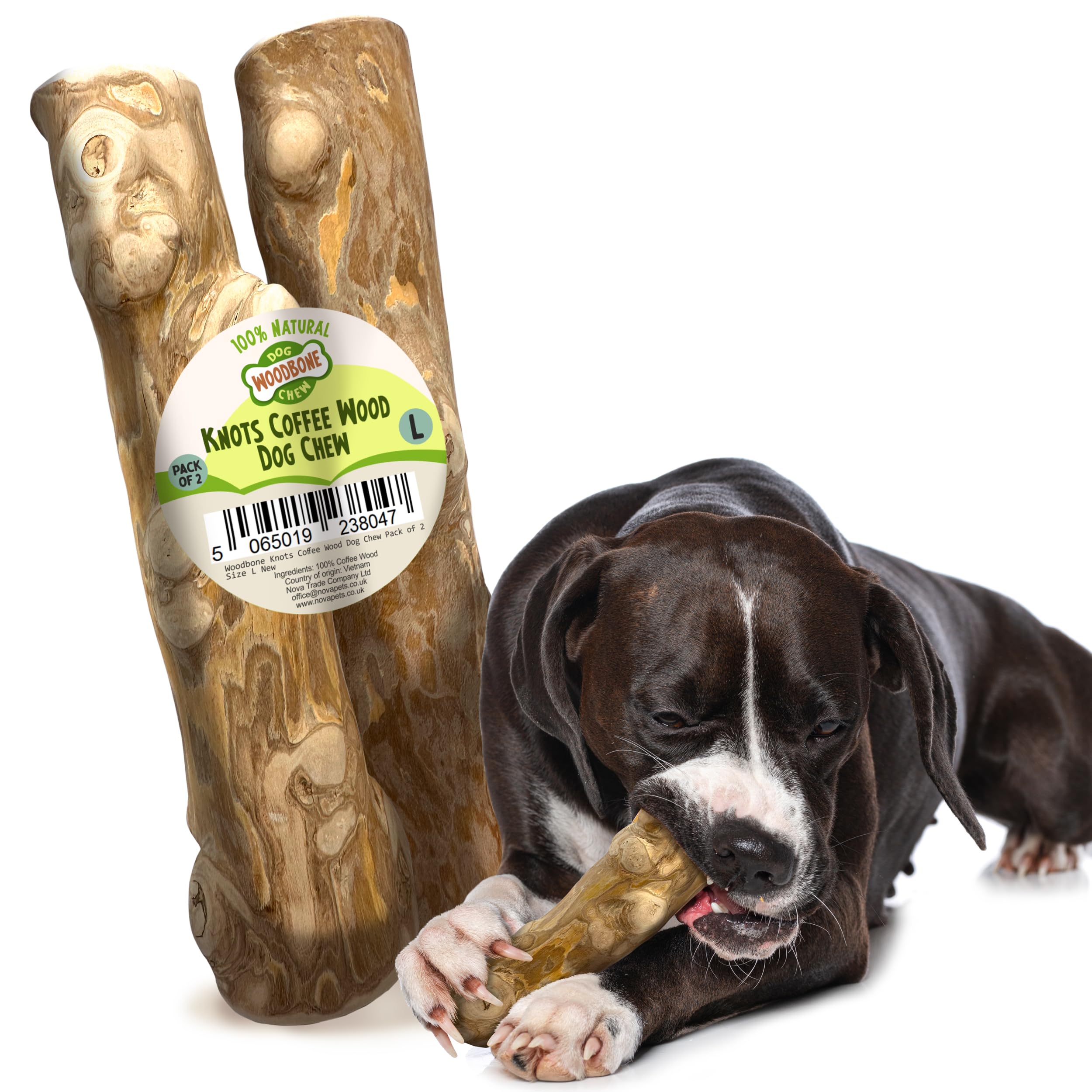 Woodbone Knots Coffee Wood Dog Chew Toy for Large Dogs - Natural Wood Knots Branch Chewing Stick - Pack of 2 Size L