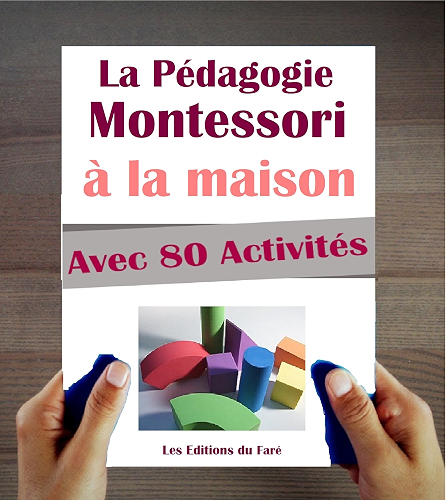 Download Le Manuel de la Pédagogie Montessori à la Maison. Explications, Conseils et 80 activités proposées. PDF