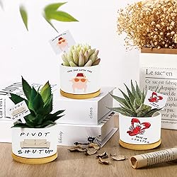Funny TV Show Planter Pots,TV Show Merchandis Gifts