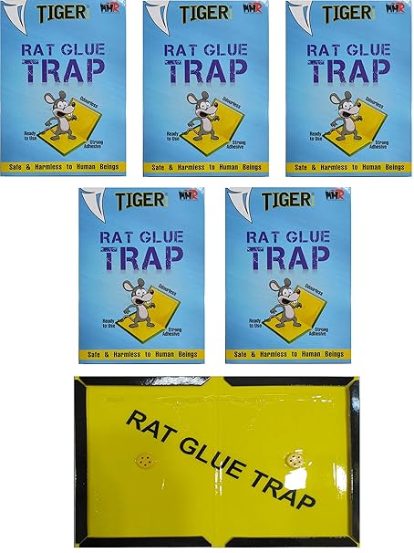 MMR Making Marvelous Non Poisonous-Toxic Odourless Big Size Mouse Insect Rodent Lizard Trap Rat Catcher Adhesive Sticky Glue Pad (Blue)-Set of 5