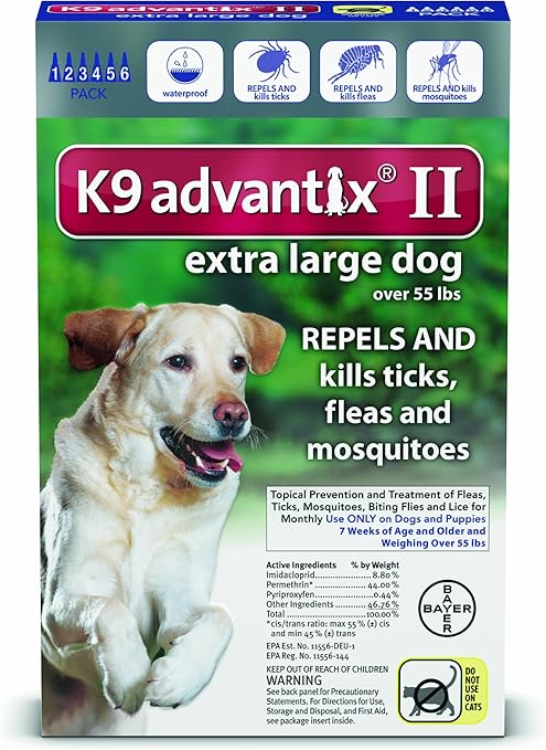 dog friendly holiday cottages westward ho