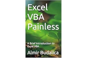 Excel VBA Painless: A Brief Introduction to Excel VBA (Excel Painless)