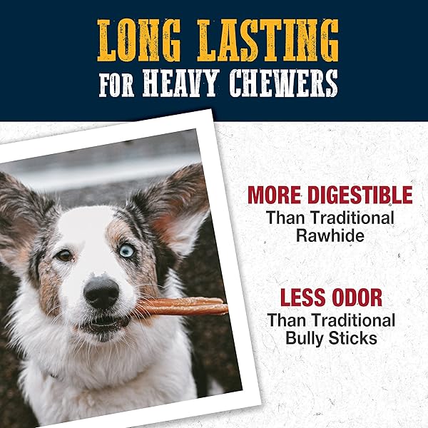 CADET BULLY HIDE STICKS FOR SMALL DOGS, ALL-NATURAL BEEF PIZZLE, LIMITED-INGREDIENT LONG-LASTING DOG CHEWS FOR AGGRESSIVE CHEWERS, 4 COUNT