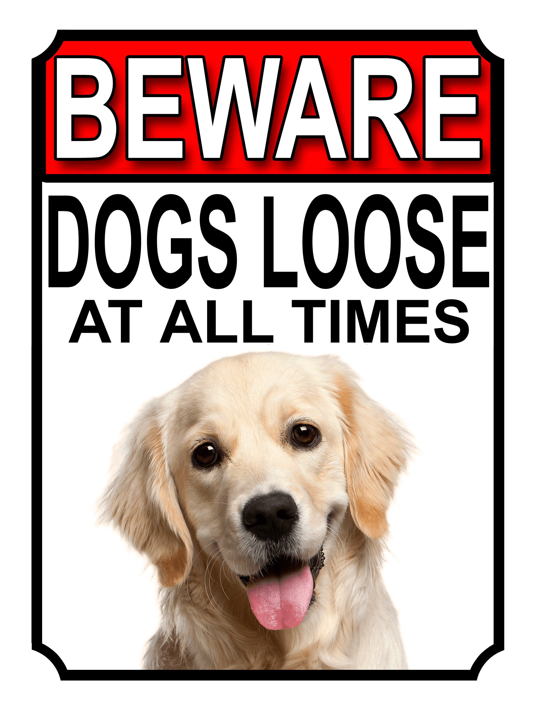 SHAWPRINT BEWARE DOGS LOOSE AT ALL TIMES METAL SIGN GOLDEN RETRIEVER 200MM X 150MM (1003H1) โ image 1