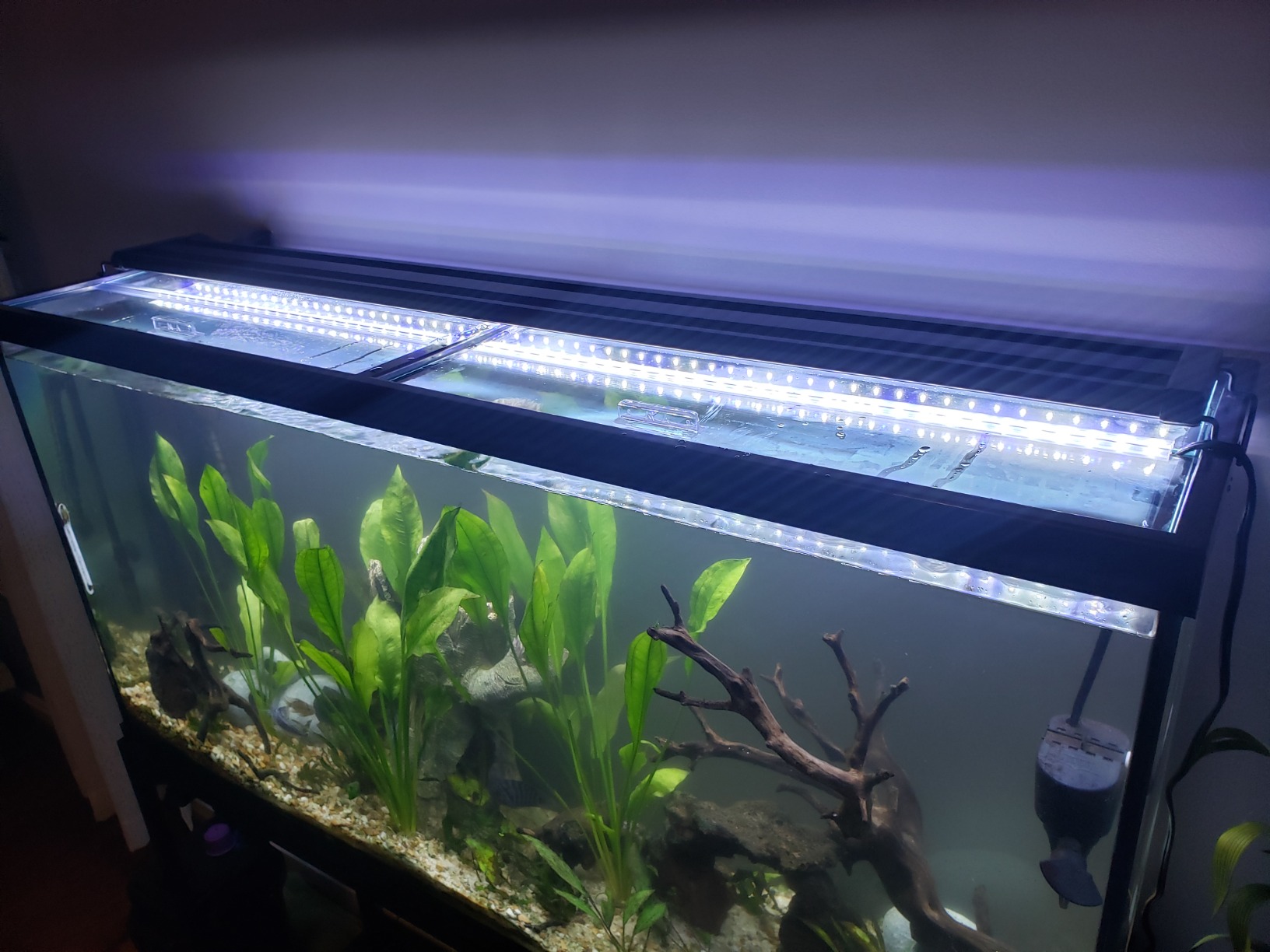 9/mo Finance Aquarium Glass Canopies for Aquariums with & Without