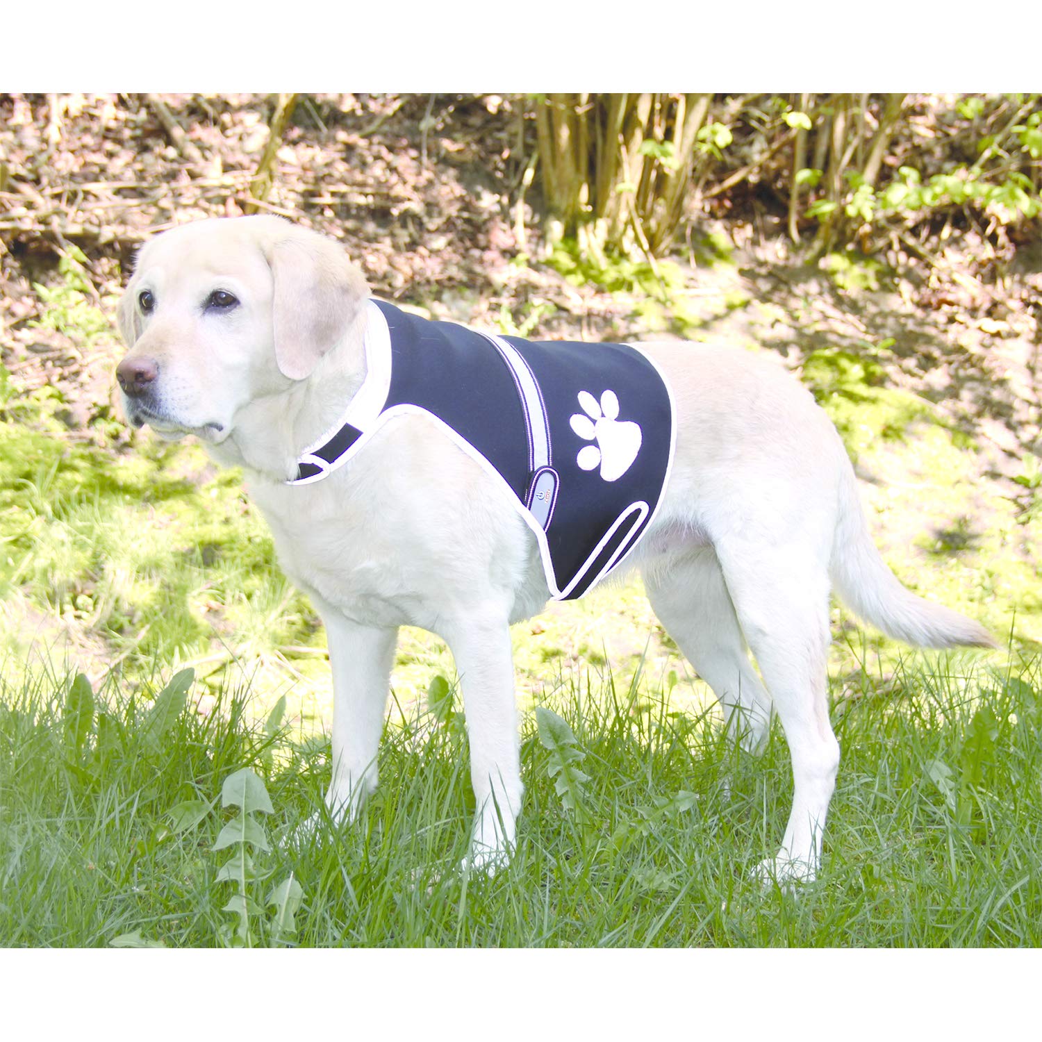 Trixie Safer Life USB Flash Safety Vest, Medium, Black