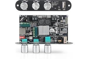 Wuzhi Audio ZK-1001U Mono Amplifier Board with TWS, 100W Power Output, Vehicle Amplifier Wide Voltage Input 9-24V, Support US