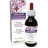 Naturalma Astragalus (Astragalus membranaceus) Root Alcohol-Free Tincture - 4 fl oz Liquid Extract in Drops - Herbal Supplement - Vegan