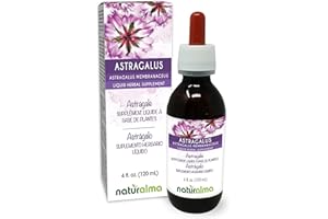 Naturalma Astragalus (Astragalus membranaceus) Root Alcohol-Free Tincture - 4 fl oz Liquid Extract in Drops - Herbal Supplement - Vegan
