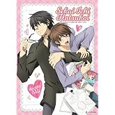 Sekai Ichi Hatsukoi - World's Greatest First Love - Seasons 1 &amp; 2 [DVD]