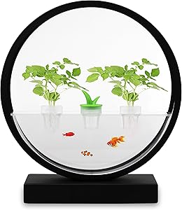 VegeBox Smart Hydroponics Growing System with LED Growing Panel, Automatic Garden Kit, Home Decoration (Black)