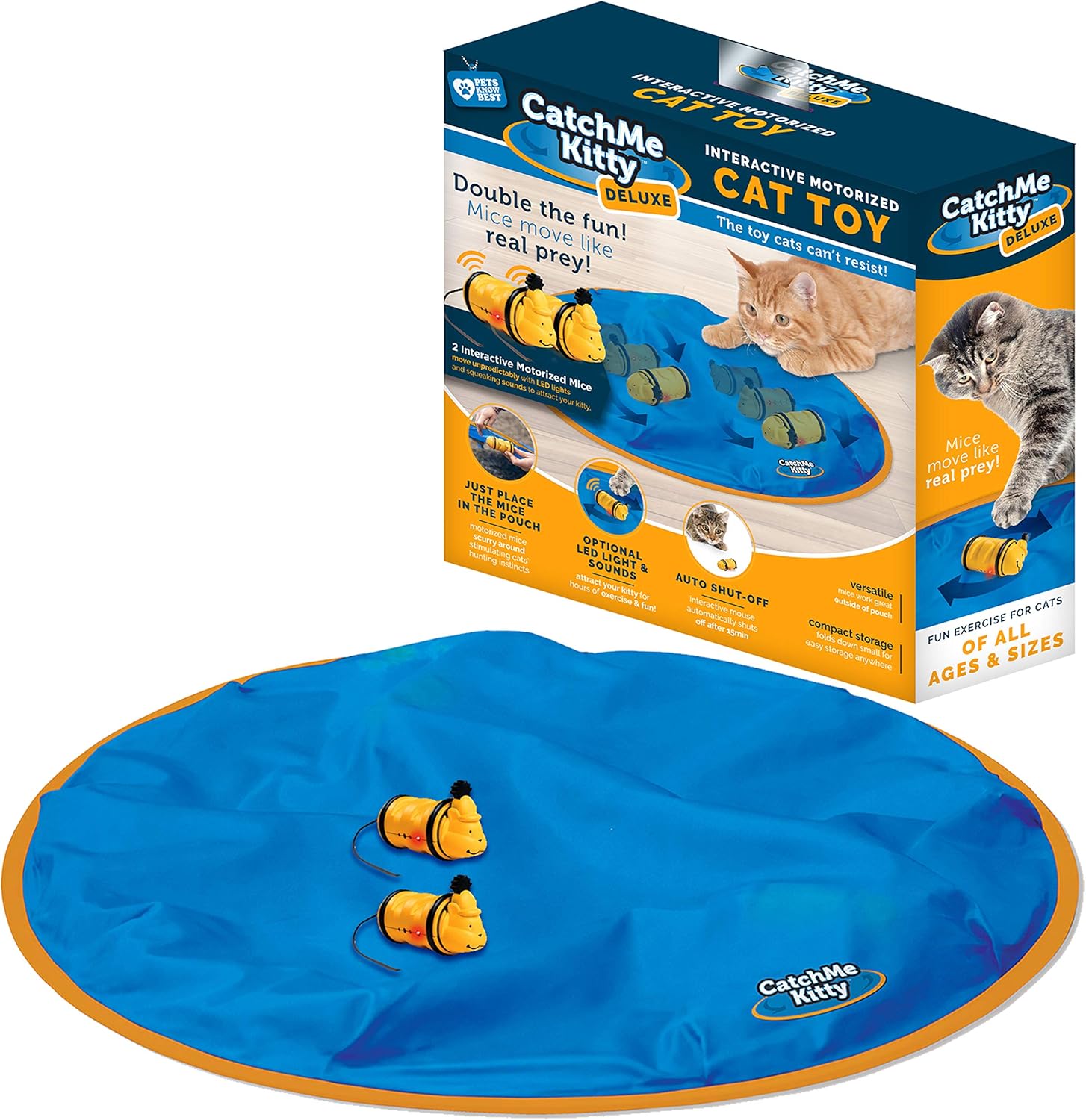 catch me kitty cat toy