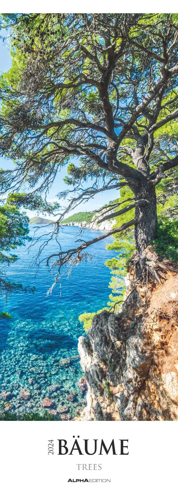 Bäume 2024 - Striped Calendar XXL 25 x 69 cm - Picture Calendar in Portrait Format - Wall Planner - Wall Calendar - Tree Calendar