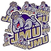 Desert Cactus James Madison University Sticker James Madison Dukes Vinyl Decal Laptop Water Bottle Car Scrapbook Sheet (Type 3-1)